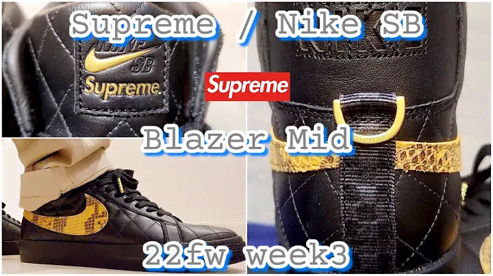 Supreme / Nike SB Blazer Mid 22fw week3 シュプリーム ナイキ SB ブレイザー