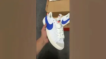 Nike Blazer Jumbo Low White Blue