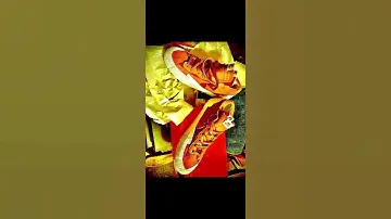 An edit of my Nike Blazer Low British Tan Sacai
